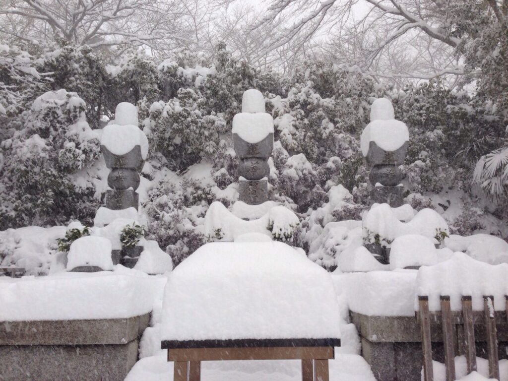 三師塔の雪模様