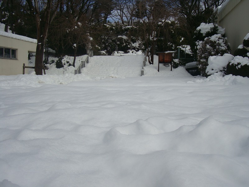 高尾墓園の雪景色