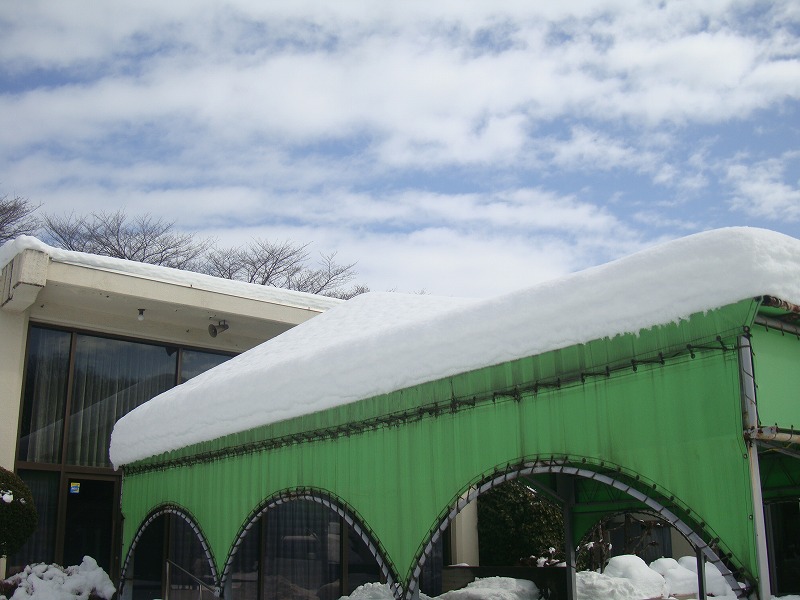 高尾墓園の雪景色