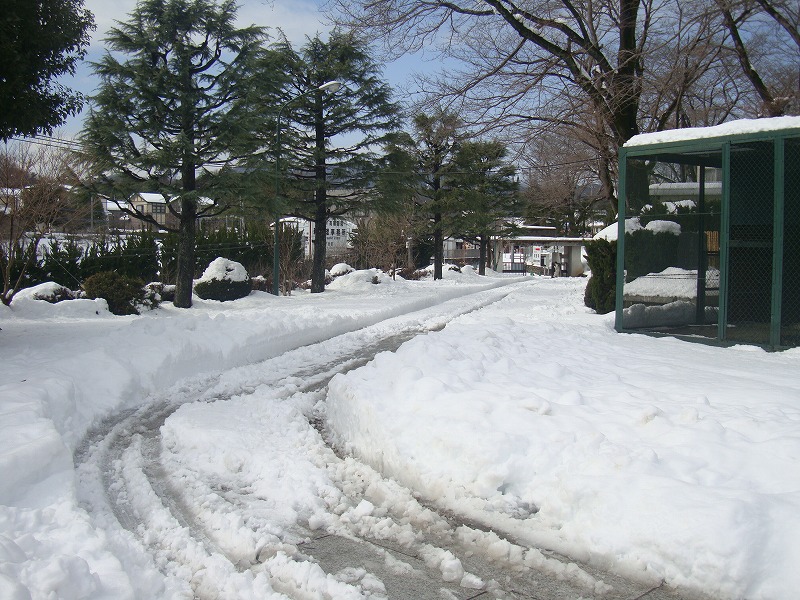 高尾墓園の雪景色