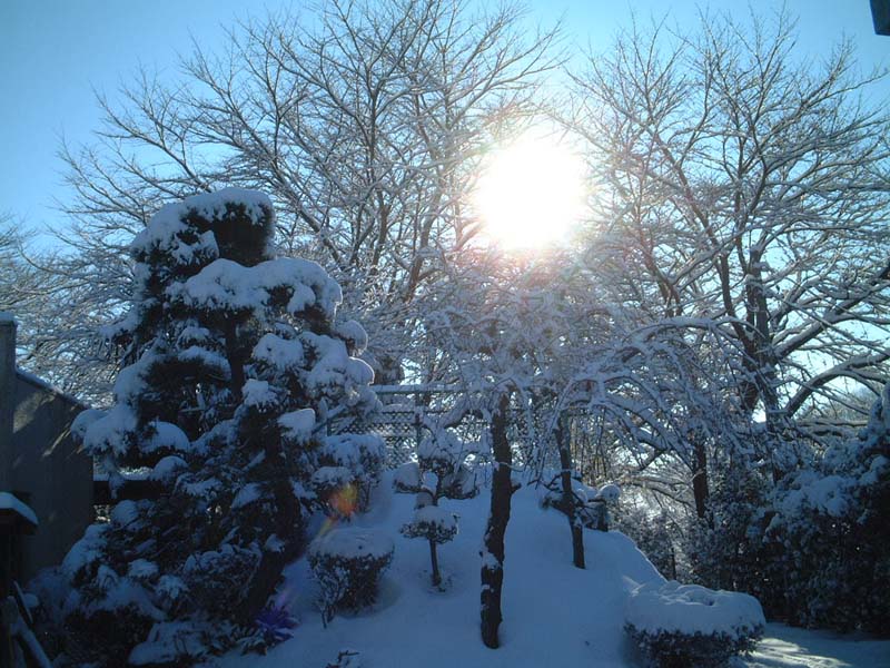高尾墓園の雪景色