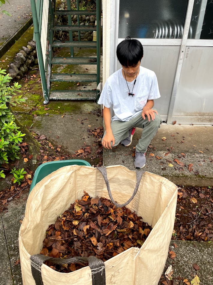 落ち葉拾い