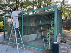 孔雀小屋ペンキ塗り直し